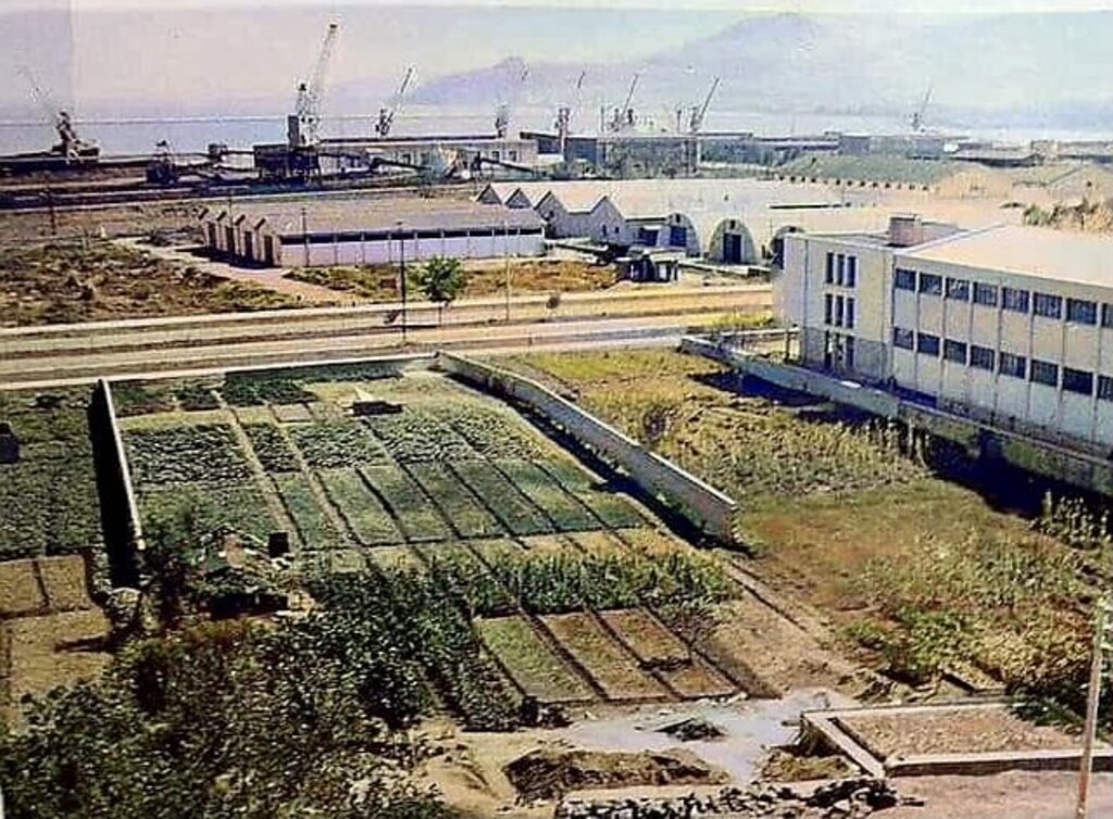 Bir zamanların Samsun'undan şehir ve insan manzaraları