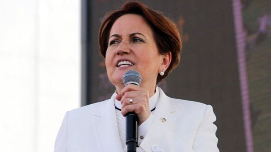 İşte Meral Akşener'in kuracağı partinin ismi 