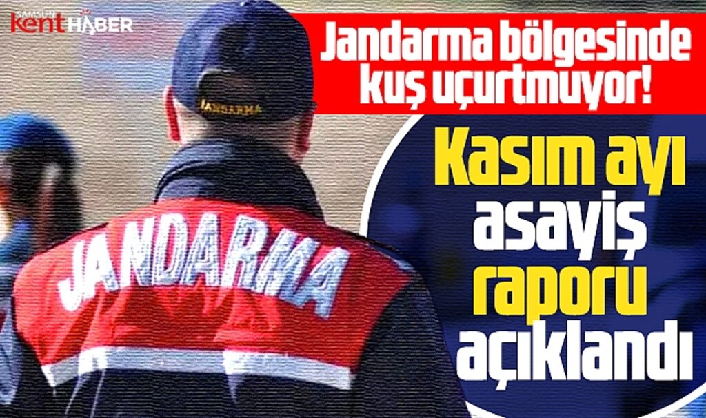 Samsun'da İl Jandarma Komutanlığı'nın Kasım ayı asayiş raporu açıklandı