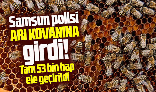 Samsun polisi arı kovanına girdi! 53 bin uyuşturucu hap ele geçirdi