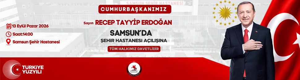 Samsun Valiliği