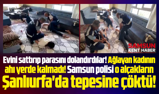 Samsun polisi bir kadını dolandırıp ağlatan dolandırıcıları Şanlıurfa'da yakaladı