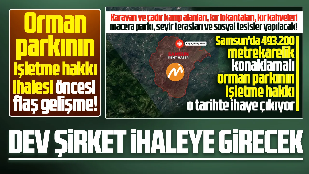 Samsun'da orman parkı işletme hakkı ihalesine dev şirket girecek!